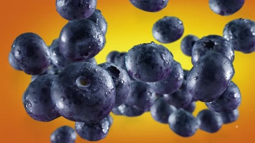 Fresh Blueberries Floating in Air on a Gradient