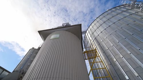 Low Angle View of Agricultural Grain Silos