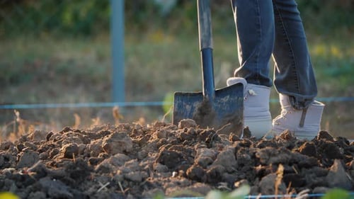 Side View of Farmer Digs a Vegetable Garden Only the Legs in Working Shoes are Visible in the Frame