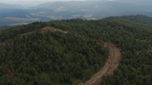 Rural road and forest on mountains of Manzherok, Altai