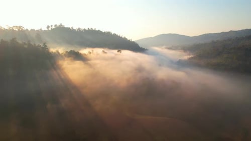 4K aerial view of foggy sunrise in the morning forest. natural background