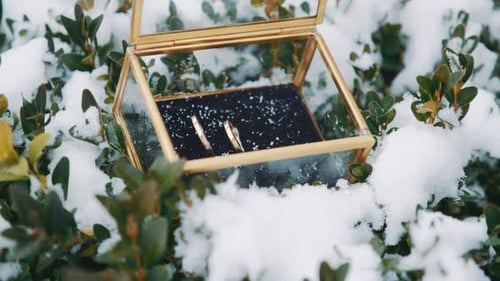 Bagues de mariage dans une boîte en verre dans la neige.