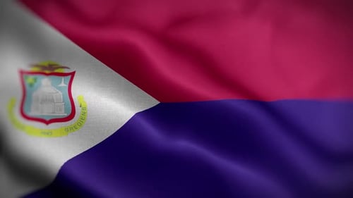 Waving Realistic Flag with Coat of Arms Animation