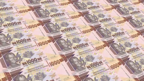 Guinea Money 1000 Guinean Franc 4K