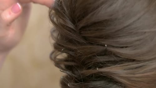 Braided Female Hairdo Close Up