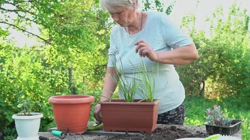Jardinería en casa
