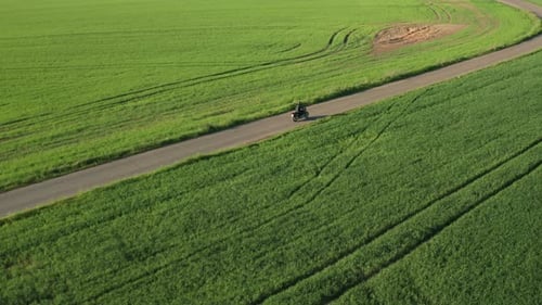 Motorcyclist Rides on Asphalt Road Among Rural Landscape
