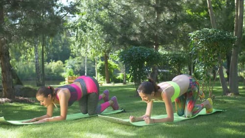 Two Women Exercising in the Park on Yoga Mats