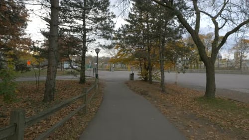 Park alley in the autumn