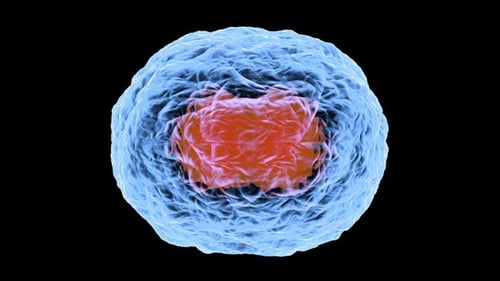 3D rendered Animation of Cell Replication