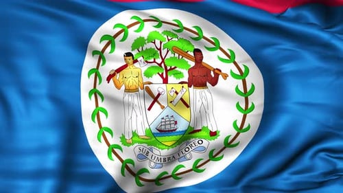 Belize Flag Waving Seamless Loop Animation