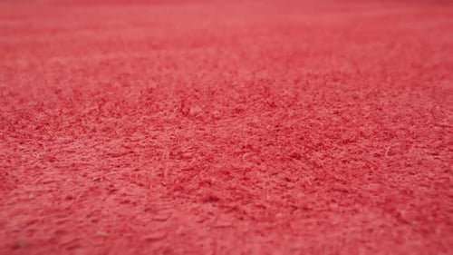 Flauschige Rückseite des roten Kuhlederblattes als Hintergrund