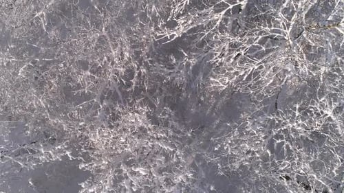 Luftaufnahme des mit Schnee bedeckten Winterwaldes