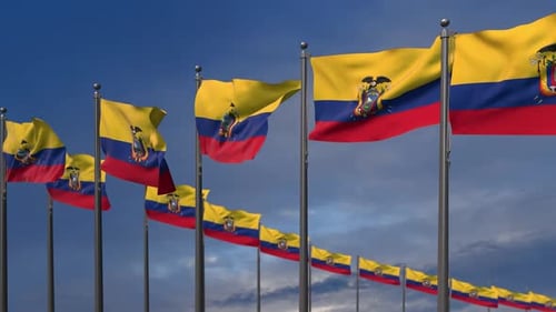 Multiple Ecuador National Flags Waving on Poles Seamless Loop