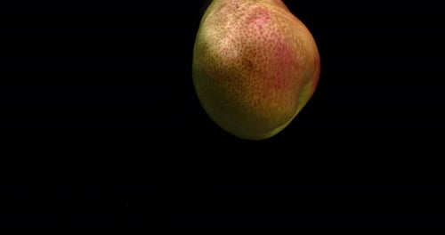 Fresh Pear Falls Into the Water.