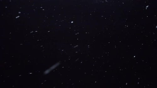 Schneefall vor dem Nachthimmel, weiße Schneeflocken fallen in der Nacht, Loop-Filmmaterial
