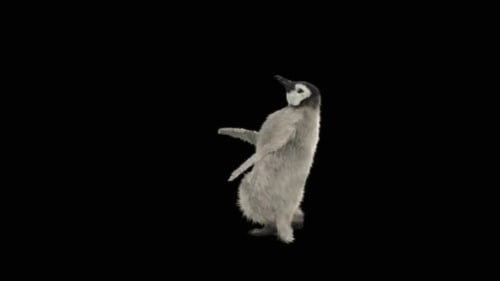 Pinguin tanzend HD