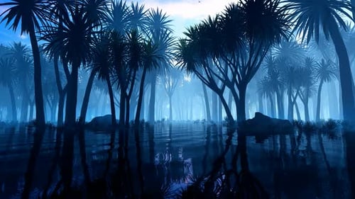 Jungle In The Fog