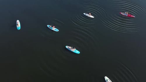 Sports on a Supboard on the River at a Distance From People