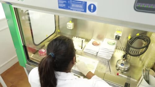 Lab Technician Analyzes Petri Dishes in Sterile Environment