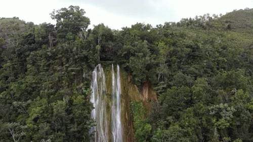 Drone Approaching to Cascade among Jungle.