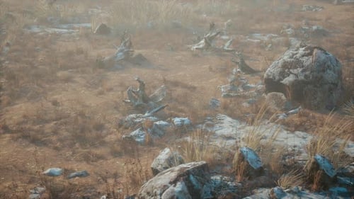 Aerial Pan Over Dry Rocky Wilderness Landscape