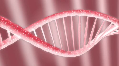 Red Dna Seamless Loop