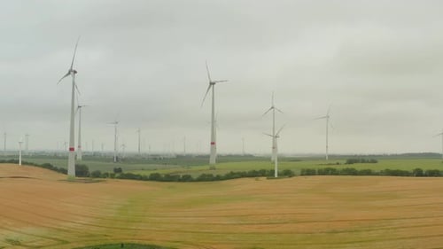 AERIAL: Multiple Wind Turbines on Rich Yellow Agriculture Field Rotating By the Force of the Wind