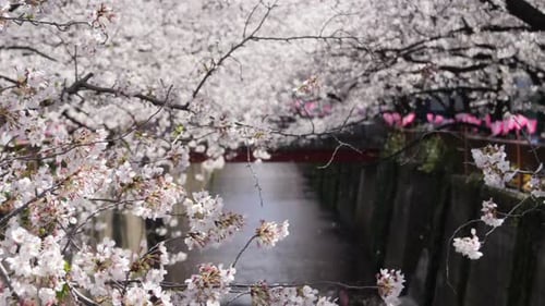Frühling