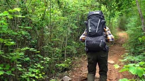 man traveler with backpack walking and looking in the natural forest