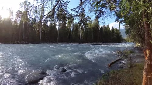 Wiese am Ufer des Mountain River