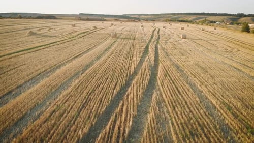 Rolls of Haystacks on the Field, Landscape with Twisted Haystacks in the Field, Agriculture Concept