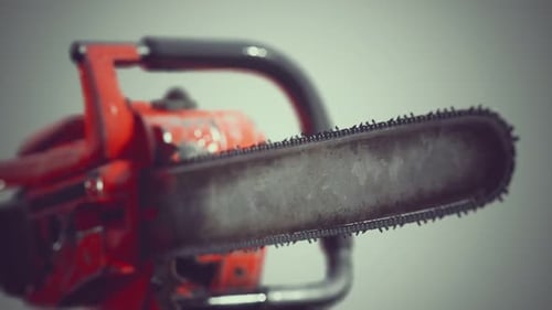 Small Professional Chain Saw