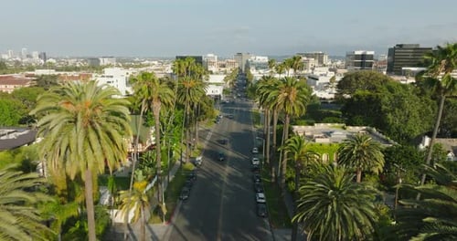 Palm Tree Lined Street in the City Aerial View