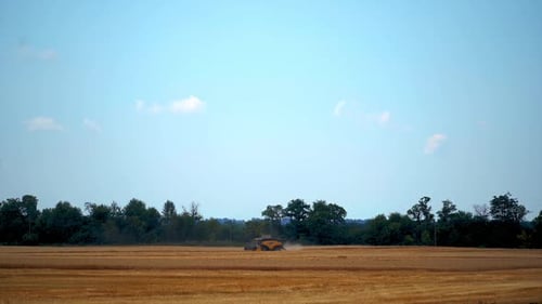 Agricultural concept.