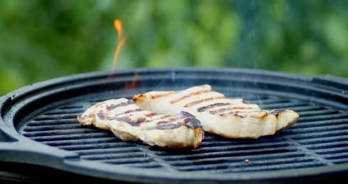 Meat Cooking on a Barbecue Grill