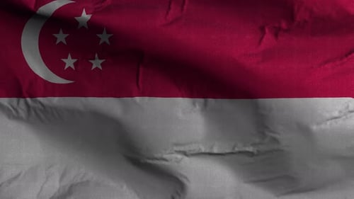Realistic Waving Singapore National Flag Animated Background