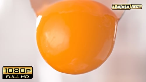 Bright Close-up of Egg Yolk Separating from Egg