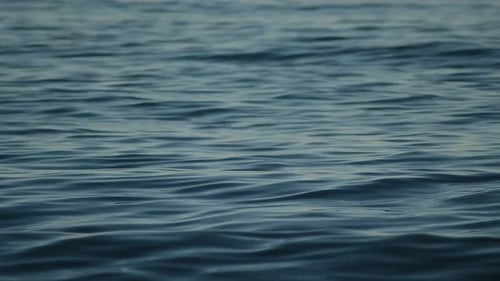 Blue Sea Waves in a Calm Sea