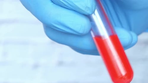 Gloved Hand Holding Test Tube with Red Liquid