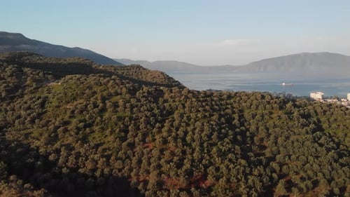 Luftaufnahme der Olivenfelder in der Berg- und Seeküste in Albanien