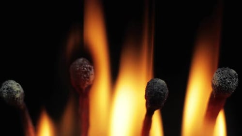 Row of Matches Igniting and Burning on Black