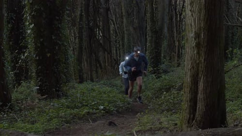 Runners with Head Torch Running on Trail in Forest at Dusk