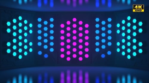 Hexagon Wall Loop Pack - 4K