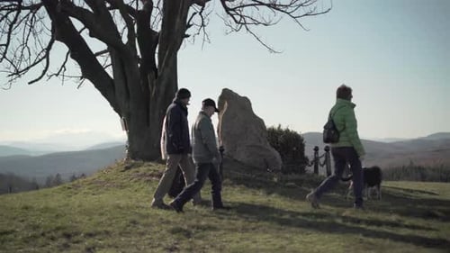 Adults and Dog Walk on Grassy Hilltop