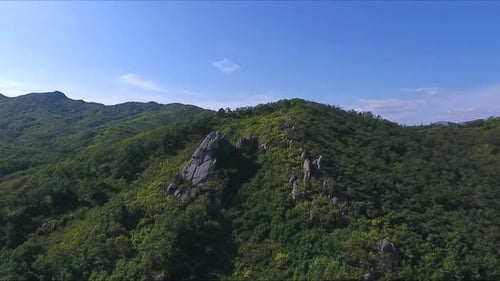 Aerial View of the Tall Mountain Covered By the Forest on Sunny Day