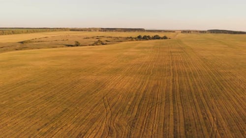Abfallendes Feld