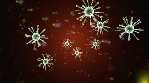 Viruses in the blood stream