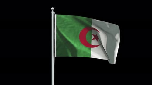 Algerian Flag Waving on Black Background