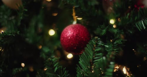 Red Christmas Bauble Hanging on Decorated Green Tree